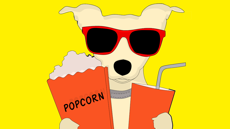 Hund med solglasögon och popcorn