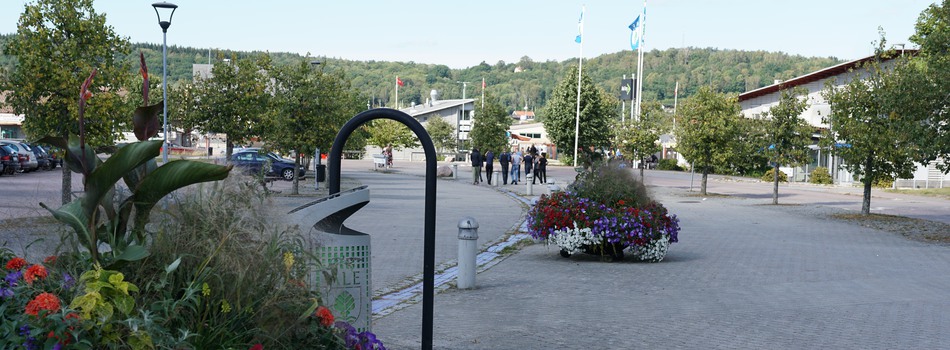 Blommor och människor på gångvägen mellan alekulturrum och kommunhuset